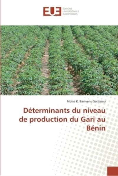 Cover for Sodjinou · Déterminants du niveau de prod (Book) (2018)