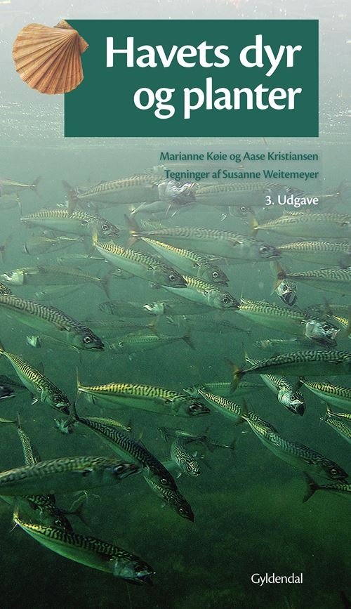 Cover for Marianne Køie; Aase Kristiansen · Havets dyr og planter (Sewn Spine Book) [3. Painos] (2023)