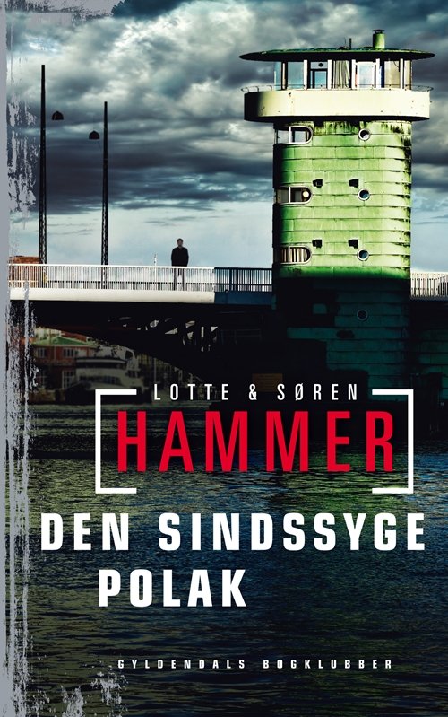 Cover for Lotte og Søren Hammer · Hammer &amp; Hammer: Den sindssyge polak (Bound Book) [1e uitgave] [Indbundet] (2014)