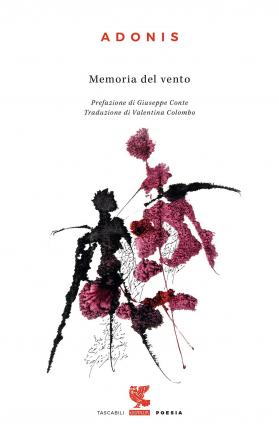 Cover for Adonis · Memoria Del Vento (DVD)