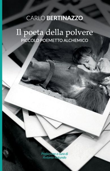 Cover for Carlo Bertinazzo · Il poeta della polvere: Piccolo poemetto alchemico (Paperback Book) (2020)