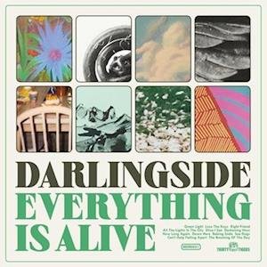 Cover for Darlingside · Everything is Alive (LP) (2023)