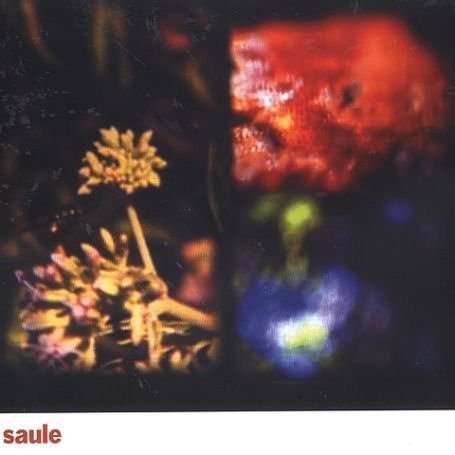 Cover for Saule (LP) (2004)
