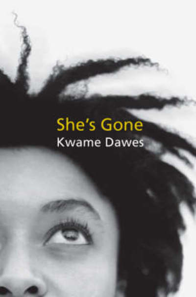 Cover for Akashic Books · Macmillan Caribbean Writers: She's Gone (Paperback Book) (2008)