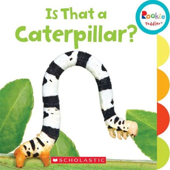 Cover for Scholastic · Is That a Caterpillar? (Rookie Toddler) - Rookie Toddler (Kartonbuch) (2016)