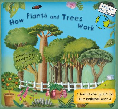 How Plants and Trees Work : A Hands-On Guide to the Natural World - Christiane Dorion - Kirjat - Templar - 9780763692988 - tiistai 12. syyskuuta 2017