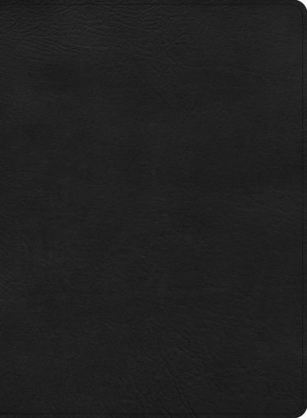 Cover for Csb Bibles By Holman · CSB Apologetics Study Bible, Black LeatherTouch (Leather Book) (2022)