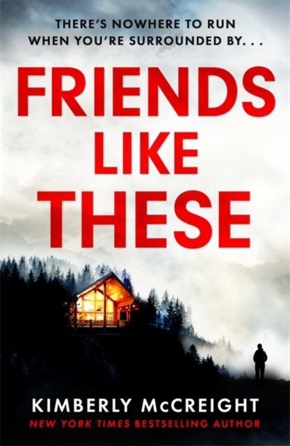 Cover for Kimberly McCreight · Friends Like These (Paperback Book) (2022)