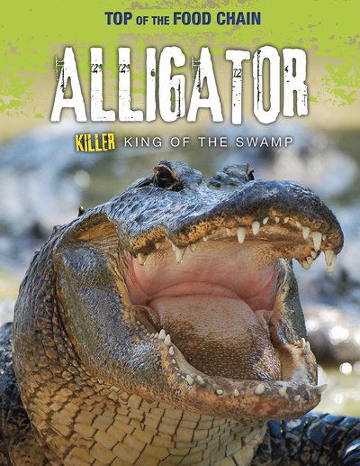 Cover for Angela Royston · Alligator: Killer King of the Swamp - Top of the Food Chain (Paperback Book) (2020)