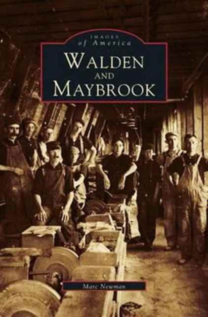Cover for Marc Newman · Walden and Maybrook (Hardcover bog) (2001)