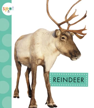 Cover for Anastasia Suen · Reindeer (Hardcover Book) (2020)