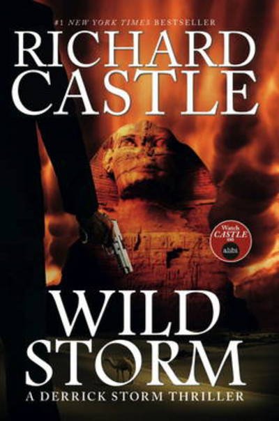 Cover for Richard Castle · Wild Storm (A Derrick Storm Novel) (Inbunden Bok) (2014)