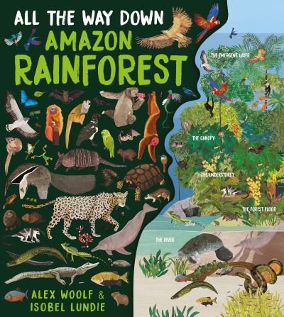 Cover for Alex Woolf · All The Way Down: Amazon Rainforest - All The Way Down (Gebundenes Buch) [Illustrated edition] (2021)