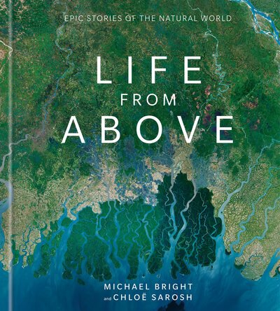 Cover for Michael Bright · Life from Above (Hardcover bog) (2019)