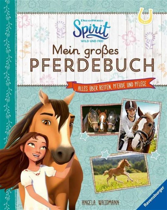 Cover for Angela Waidmann · Dreamworks Spirit Wild und Frei: Mein großes Pferdebuch (Leksaker)