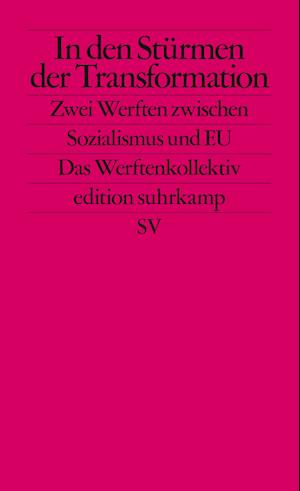 Cover for Philipp Ther · In den Stürmen der Transformation (Paperback Book) (2022)