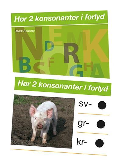 Hør lyden: Hør 2 konsonanter i forlyd - Randi Solvang - Bücher - Alinea - 9788723531988 - 31. Dezember 2000