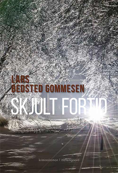 Cover for Lars Bedsted Gommesen · Skjult fortid (Book) [1. Painos] (2019)