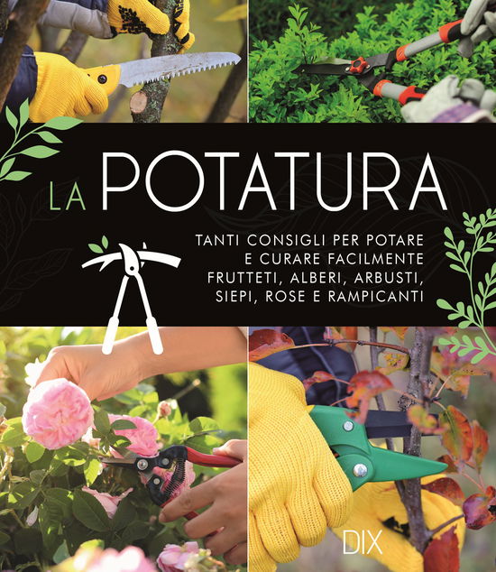 La Potatura. Tanti Consigli Per Potare E Curare Facilmente Frutteti, Alberi, Arbusti, Siepi, Rose E Rampicanti - Richard Bird - Books -  - 9788897427988 - 