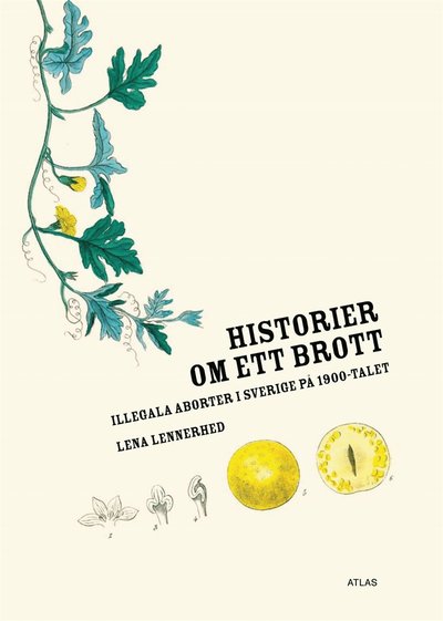 Cover for Lena Lennerhed · Historier om ett brott : illegala aborter i Sverige på 1900-talet (ePUB) (2010)