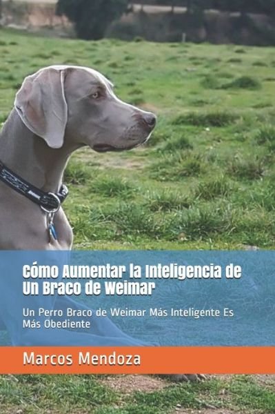 Cover for Marcos Mendoza · Como Aumentar la Inteligencia de Un Braco de Weimar: Un Perro Braco de Weimar Mas Inteligente Es Mas Obediente (Taschenbuch) (2021)