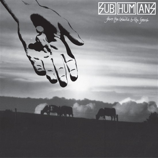 Cover for Subhumans · From The Cradle To The Grave (Red Vinyl) (LP) (2023)