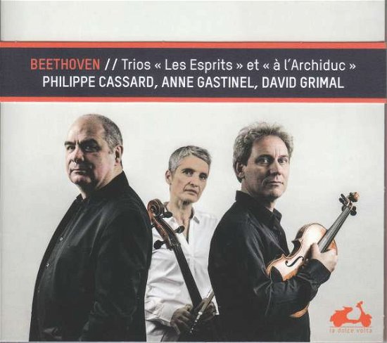 Cover for Gastinel, Anne / David Grimal · Beethoven: Ghost &amp; Archduke Trios (CD) (2020)