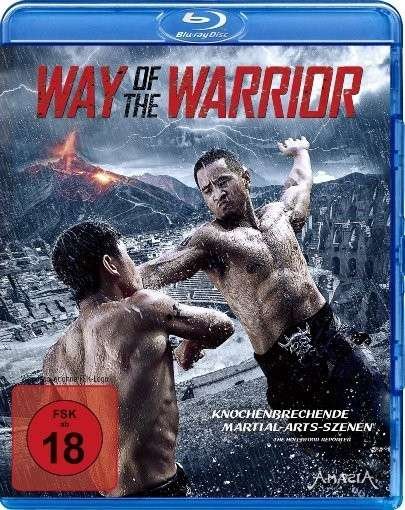 Cover for Xingyu / yosteve / hyun-joonpoppin / mullinsmatt/+ · Way Of The Warrior (Blu-ray) (2014)