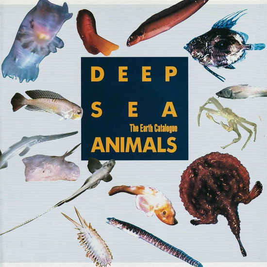 Cover for Earth Catalogue · Deep Sea Animals (LP) (2023)