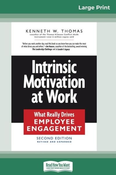 Cover for Kenneth W Thomas · Intrinsic Motivation at Work (16pt Large Print Edition) (Paperback Book) [Large type / large print edition] (2010)
