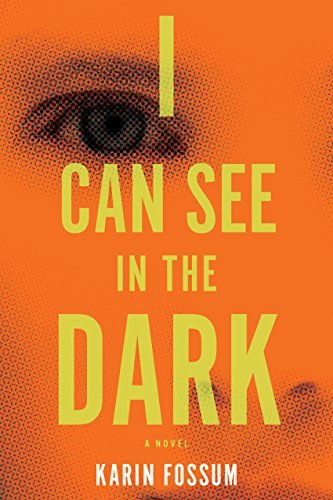 I Can See in the Dark - Karin Fossum - Books - Mariner Books - 9780544483989 - March 10, 2015