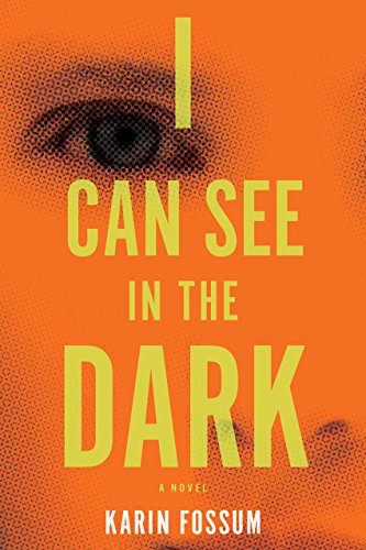 I Can See in the Dark - Karin Fossum - Boeken - Mariner Books - 9780544483989 - 10 maart 2015