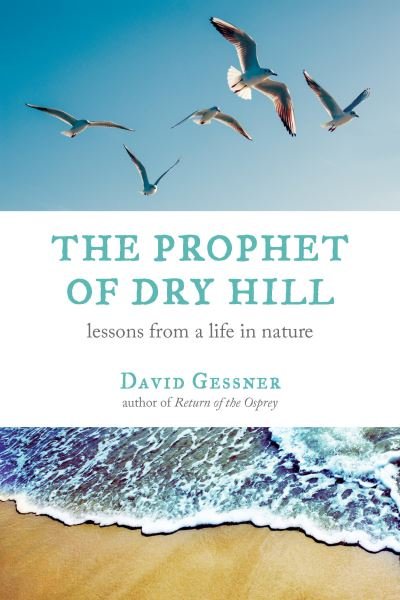 Cover for David Gessner · The Prophet of Dry Hill (Pocketbok) (2018)