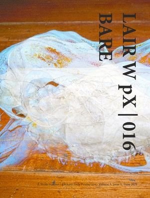Cover for Wetdryvac · LAIR W pX 016 Bare (Innbunden bok) (2024)