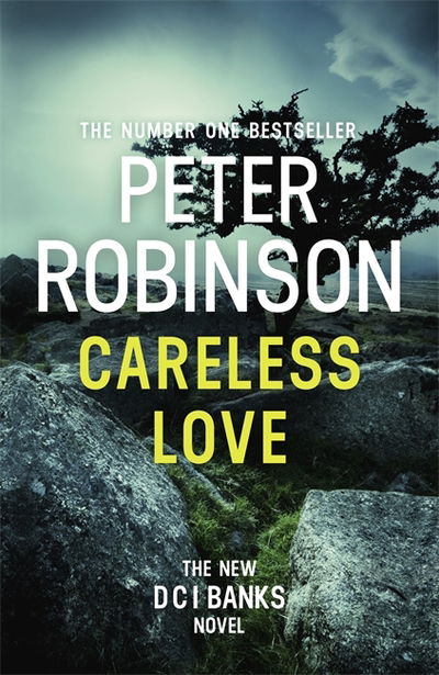 Cover for Peter Robinson · The Fool on the Hill: DCI Banks 25 (Pocketbok) (2018)