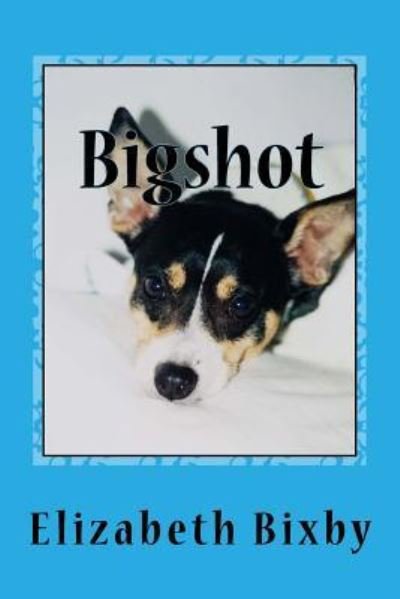 Cover for Elizabeth a Bixby · Bigshot (Paperback Book) (2012)