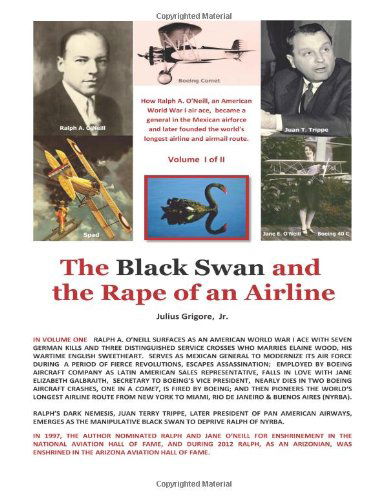 Cover for Capt Julius Grigore Jr. · The Black Swan and the Rape of an Airline (Paperback Book) [Lrg edition] (2012)