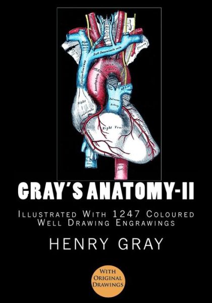 Cover for Murat Ukray · Gray's Anatomy (Paperback Book) (2016)