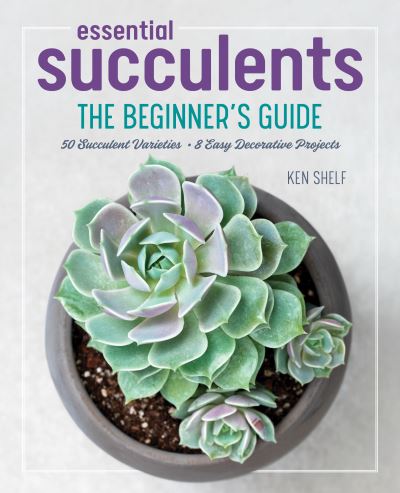 Cover for Ken Shelf · Essential Succulents (Hardcover Book) (2021)