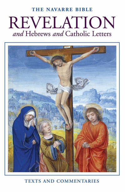 Cover for Navarre Bible · Revelation and Hebrews and Catholic Letters (Hardcover Book) (2006)