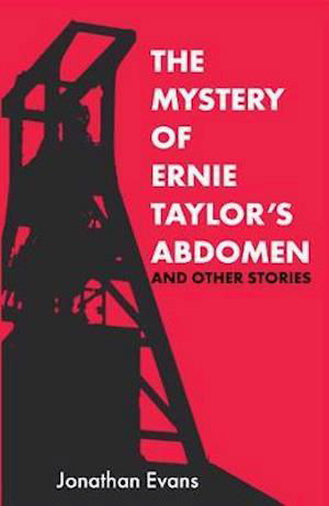 Cover for Jonathan Evans · The Mystery Of Ernie Taylor's Abdomen And Other Stories (Taschenbuch) (2020)