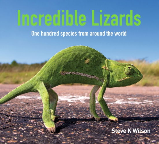 Steve K. Wilson · Incredible Lizards: One hundred species from around the world (Hardcover Book) (2024)