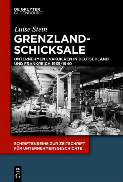 Cover for Stein · Grenzlandschicksale (Bog) (2018)