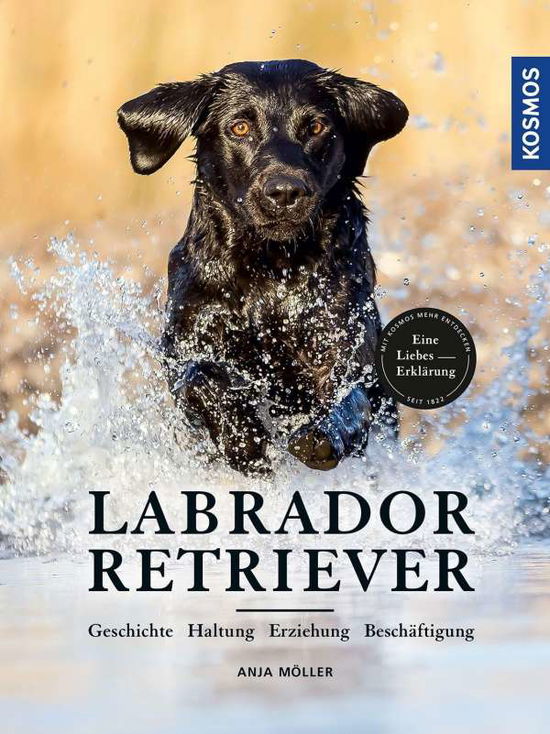 Cover for Möller · Labrador Retriever (Book)