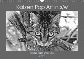 Katzen Pop Art in s/w - Kleine T - Bönner - Böcker -  - 9783670897989 - 