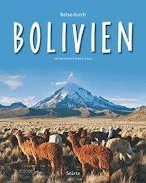 Reise durch Bolivien - Andreas Drouve - Books - Stürtz Verlag - 9783800340989 - November 2, 2010