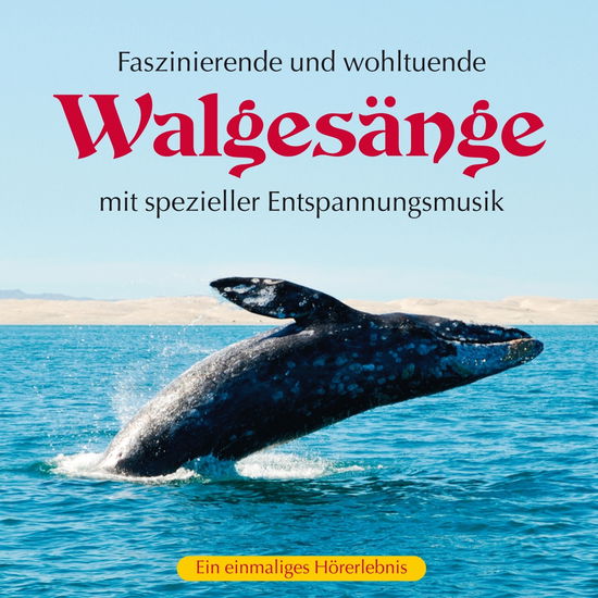 Walgesänge (Mit Spezieller Entspannungsmusik) - Kings of Nature - Musik - AVITA - 9783957662989 - 21 juli 2017