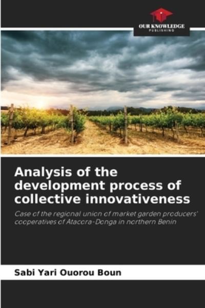 Cover for Sabi Yari Ouorou Boun · Analysis of the development process of collective innovativeness (Paperback Book) (2021)