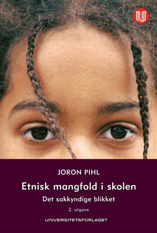 Etnisk mangfold i skolen - Joron Pihl - Bøker - Universitetsforlaget - 9788215015989 - 14. juni 2010