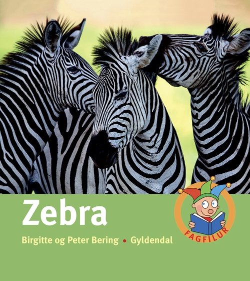 Fagfilur: Zebra - Birgitte Bering; Peter Bering - Bøger - Gyldendal - 9788702252989 - 7. november 2017